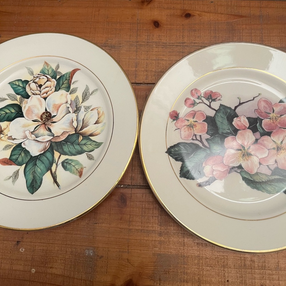 Vintage Floral Cottagecore Plates Set Farmhouse Pink Flowers Pair Vintage Plates